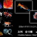 深海生物図鑑 ファミマプリント